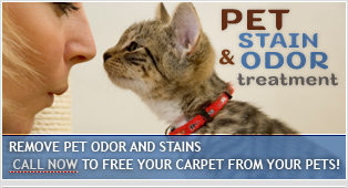 Houston pet stain removal | Houston pet odor removal